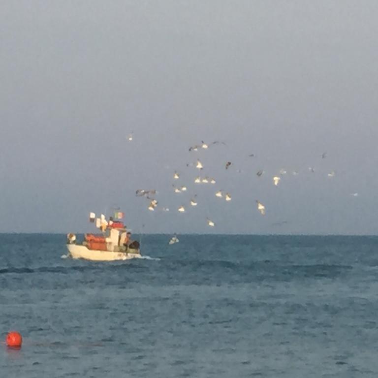 Mansarda Mare Daire Altidona Dış mekan fotoğraf